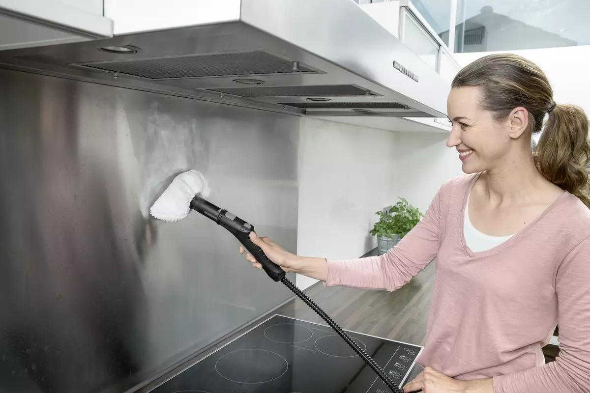 Patogerator za čiščenje apartmaja: Kako izbrati profesionalni gospodinjski parni čistilec za dom? Ocena najboljših modelov rok 11216_2