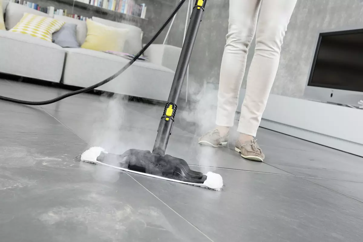 Patogerator za čiščenje apartmaja: Kako izbrati profesionalni gospodinjski parni čistilec za dom? Ocena najboljših modelov rok 11216_5