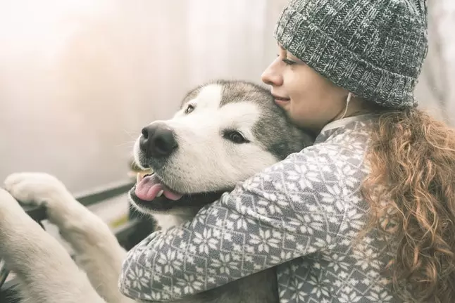 Pets (87 Ritratti): Lista ta 'annimali domestiċi. Liema annimali normalment jirreferu għad-dar u liema minnhom huma unpretentious? Deskrizzjoni tagħhom. Fatti u lista interessanti ta 'annimali ħbieb 11313_70