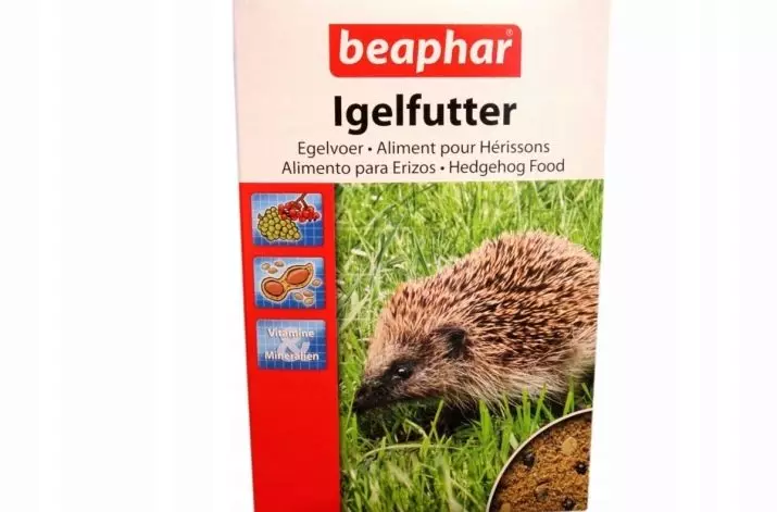 Mitu hedgehogs elada kodus? Eluelu kääbus dekoratiivsed kangelased. Mis mõjutab eluiga? 11316_11