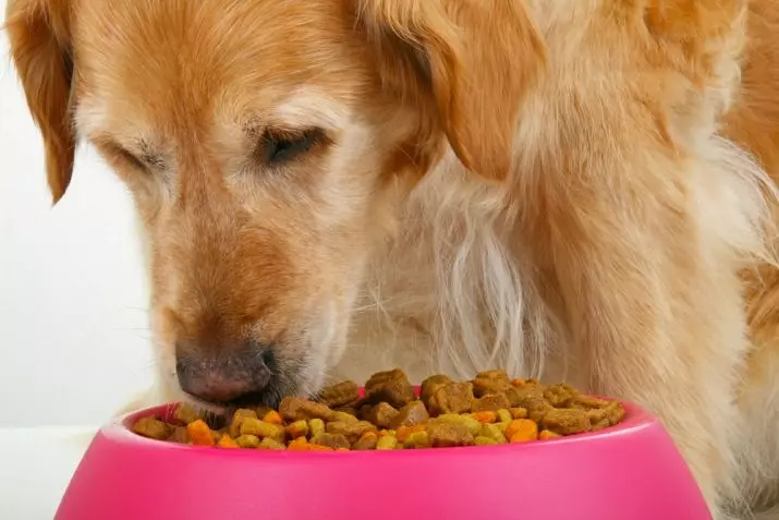 Purina Pro Plan para cães de grandes raças: filhotes e cães adultos com cordeiro e salmão, alimentos secos 18 kg e outros produtos, composição e taxa diária 11339_4