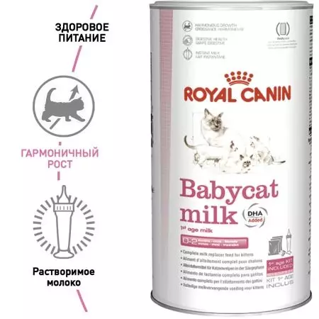 Mjölk för kattungar Royal Canin: Hur man odlar en torrblandning enligt instruktionerna för nyfödda kattungar? Funktioner i zoomutbytet 11354_10