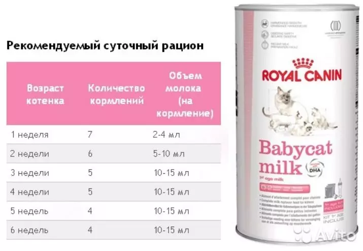 Mjölk för kattungar Royal Canin: Hur man odlar en torrblandning enligt instruktionerna för nyfödda kattungar? Funktioner i zoomutbytet 11354_11
