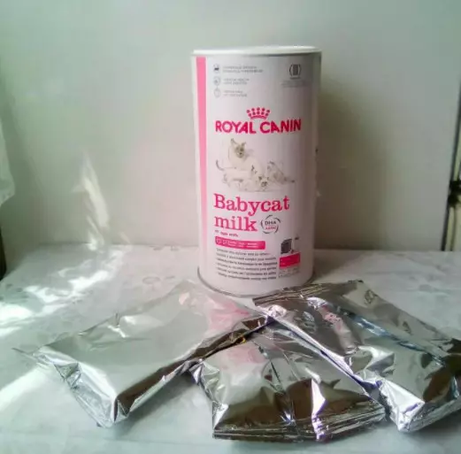 Mjölk för kattungar Royal Canin: Hur man odlar en torrblandning enligt instruktionerna för nyfödda kattungar? Funktioner i zoomutbytet 11354_13