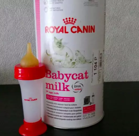 Mjölk för kattungar Royal Canin: Hur man odlar en torrblandning enligt instruktionerna för nyfödda kattungar? Funktioner i zoomutbytet 11354_14
