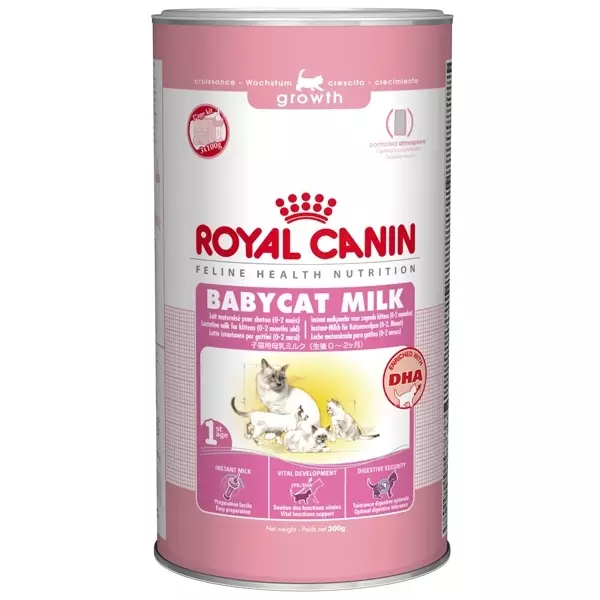 Mjölk för kattungar Royal Canin: Hur man odlar en torrblandning enligt instruktionerna för nyfödda kattungar? Funktioner i zoomutbytet 11354_4