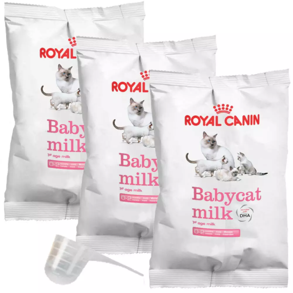 Mjölk för kattungar Royal Canin: Hur man odlar en torrblandning enligt instruktionerna för nyfödda kattungar? Funktioner i zoomutbytet 11354_5