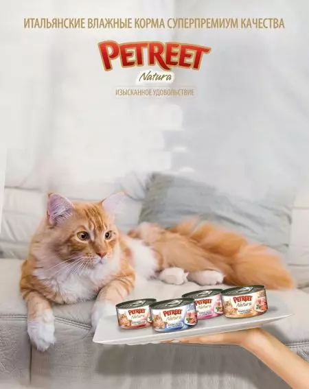 Thức ăn cho mèo Petreet: Tổng quan về thức ăn ướt, mô tả chung. Đánh giá 11359_5