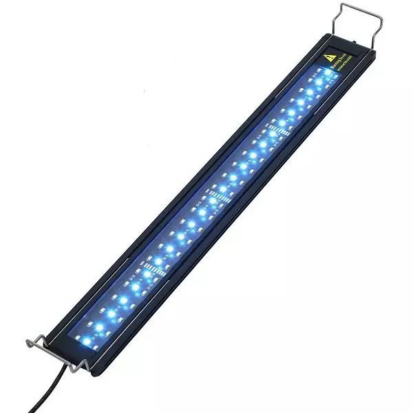 İşıq Aquarium LED işıqforları: LED işıq işığından 