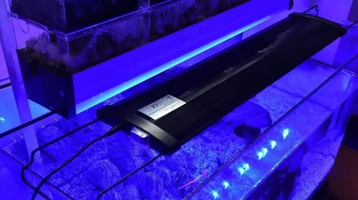 Belysning Aquarium LED Spotlights: Hur fixar 