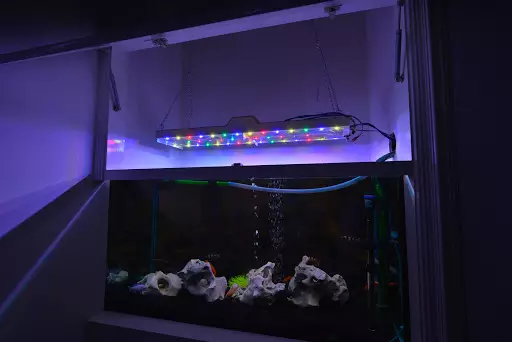 Rasvjeta Akvarij LED reflektori: kako popraviti 