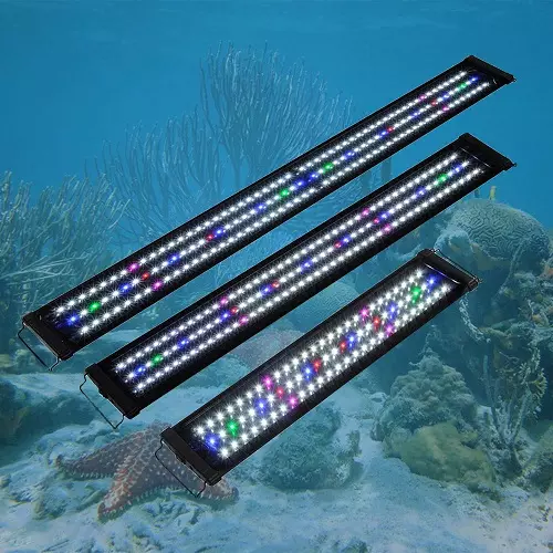 Pencahayaan Akuarium Lampu Lampu Lampu Lampu LED: Cara Memperbaiki 