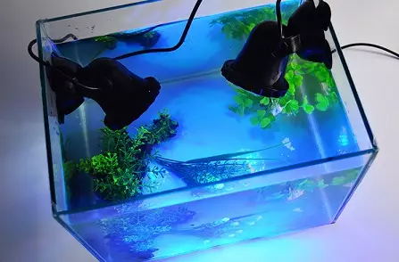 Razsvetljava Aquarium LED reflektorji: Kako popraviti 