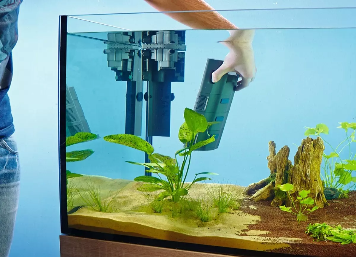 Neustart des Aquariums (29 Fotos): So ersetzen Sie Wasser im Aquarium mit Fisch, Pflanzen und Algen? Was ist, wenn, wenn nach dem Neustart des Wassers schlammig ist? 11364_21