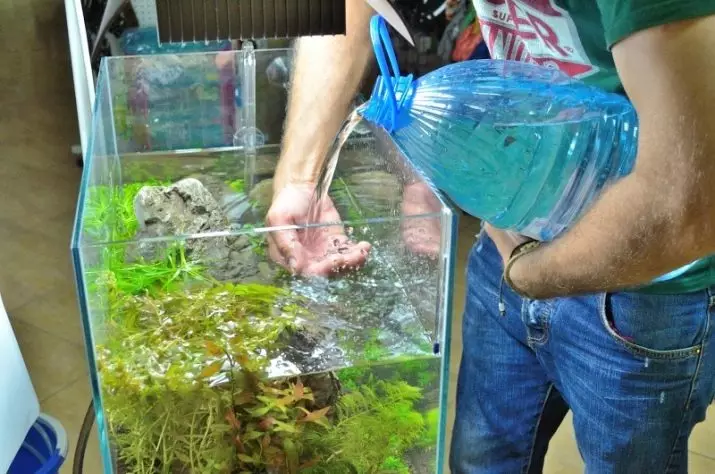 Rinisja e akuariumit (29 foto): Si të zëvendësoni ujin në akuarium me peshk, bimë dhe alga? Çka nëse, pas rifillimit të ujit është me baltë? 11364_22