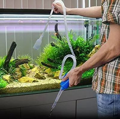 Aquarium (121 Fotos): Beispiele für schöne zylindrische Aquarien mit Pflanzen und Fischen für Zuhause, wählen Sie einen Skimmer. Wie kann ich Aquarium auswählen? 11365_119
