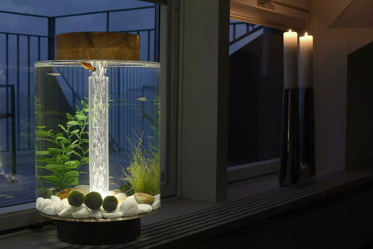 Akvárium (121 fotek): Příklady krásných válcových akvárií s rostlinami a rybami pro domov, vyberte skimmer. Jak si vybrat akvárium? 11365_33