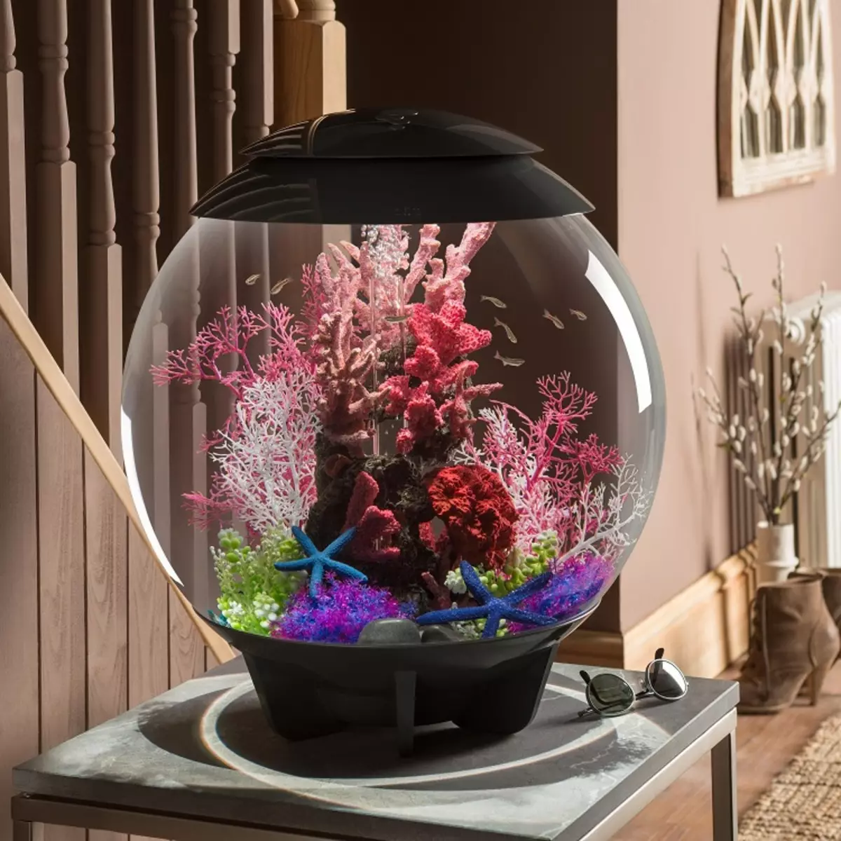 Aquarium (121 Fotos): Beispiele für schöne zylindrische Aquarien mit Pflanzen und Fischen für Zuhause, wählen Sie einen Skimmer. Wie kann ich Aquarium auswählen? 11365_34