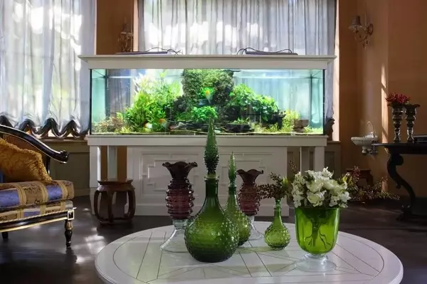 Akvarij (121 fotografij): Primeri lepih cilindričnih akvarijih z rastlinami in ribami za dom, izberite skimmer. Kako izbrati akvarij? 11365_4