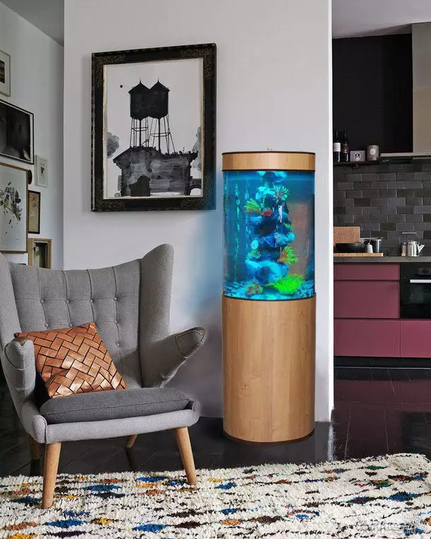 Akvarij (121 fotografij): Primeri lepih cilindričnih akvarijih z rastlinami in ribami za dom, izberite skimmer. Kako izbrati akvarij? 11365_41