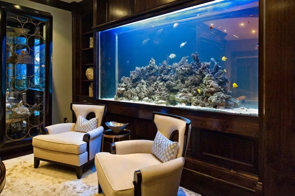 Акваријум (121 фотографије): Примери прелепих цилиндричних акваријума са биљкама и рибом за дом, изаберите скиммер. Како одабрати акваријум? 11365_50