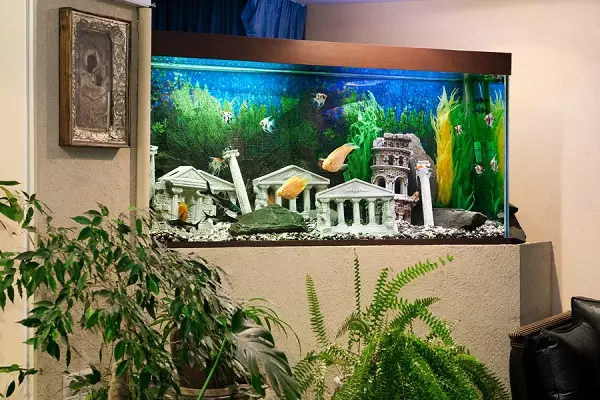 Aquarium (121 Fotos): Beispiele für schöne zylindrische Aquarien mit Pflanzen und Fischen für Zuhause, wählen Sie einen Skimmer. Wie kann ich Aquarium auswählen? 11365_6