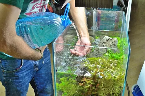Akvarij (121 fotografij): Primeri lepih cilindričnih akvarijih z rastlinami in ribami za dom, izberite skimmer. Kako izbrati akvarij? 11365_66