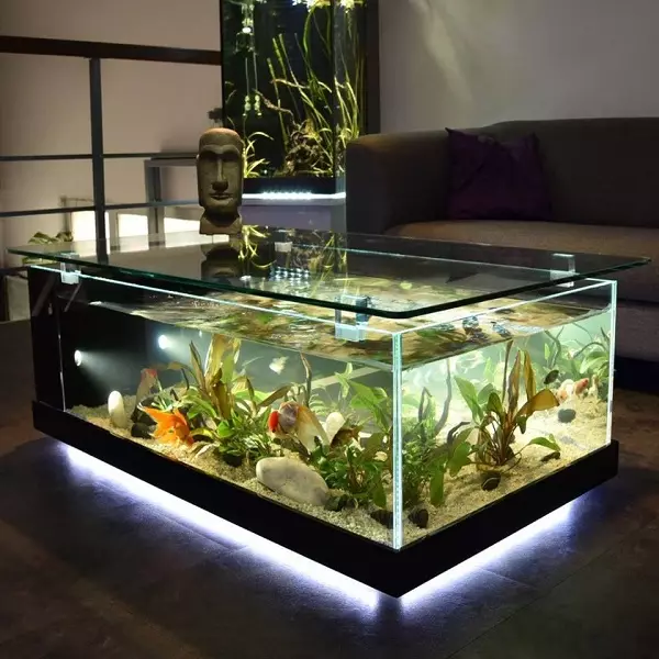 Akvárium (121 fotek): Příklady krásných válcových akvárií s rostlinami a rybami pro domov, vyberte skimmer. Jak si vybrat akvárium? 11365_93
