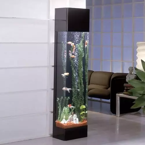 Akvarij (121 fotografij): Primeri lepih cilindričnih akvarijih z rastlinami in ribami za dom, izberite skimmer. Kako izbrati akvarij? 11365_95