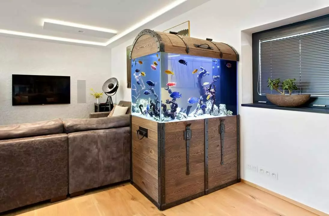 Aquarium (121 Fotos): Beispiele für schöne zylindrische Aquarien mit Pflanzen und Fischen für Zuhause, wählen Sie einen Skimmer. Wie kann ich Aquarium auswählen? 11365_99