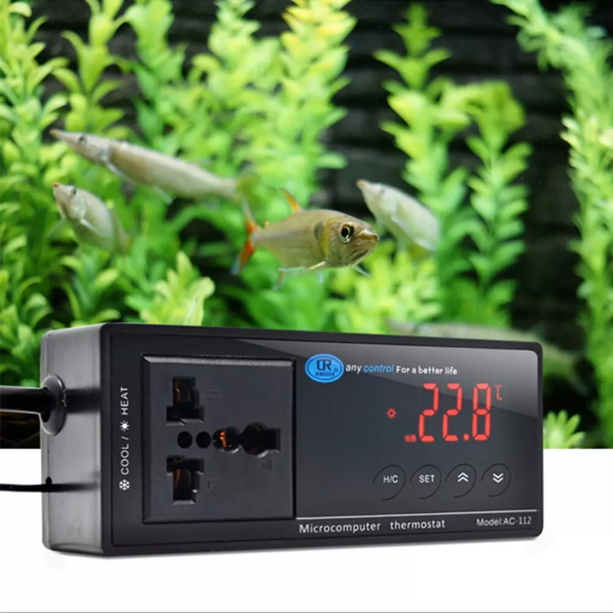 Varmeapparater for akvarium (37 bilder): En oversikt over akvariet vannvarmere med termostat og uten. Hvordan er oppvarmet av vannvarmeren? 11366_16