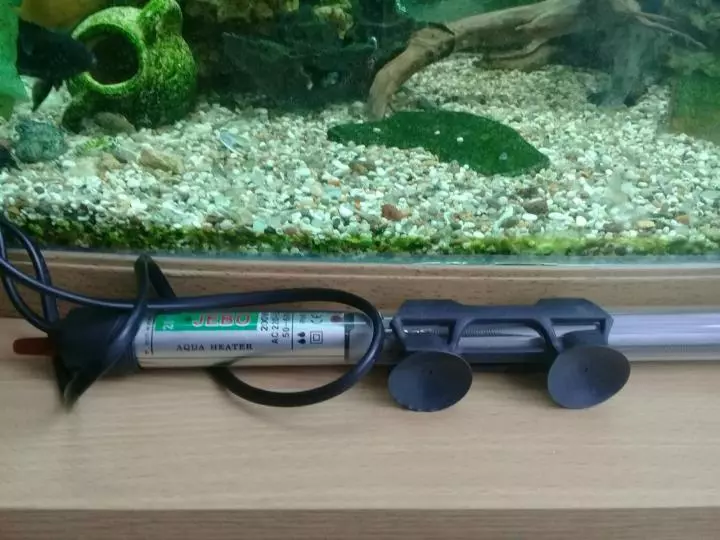 Aquarium加热器（37张）：水族馆热水器概述，带有恒温器和没有。如何被热水器加热？ 11366_3