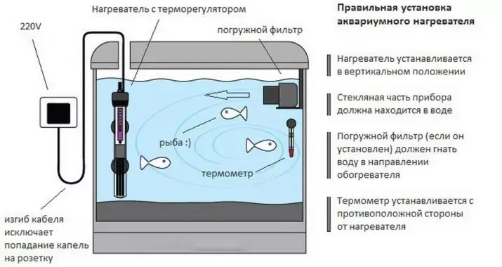 Aquarium加热器（37张）：水族馆热水器概述，带有恒温器和没有。如何被热水器加热？ 11366_33