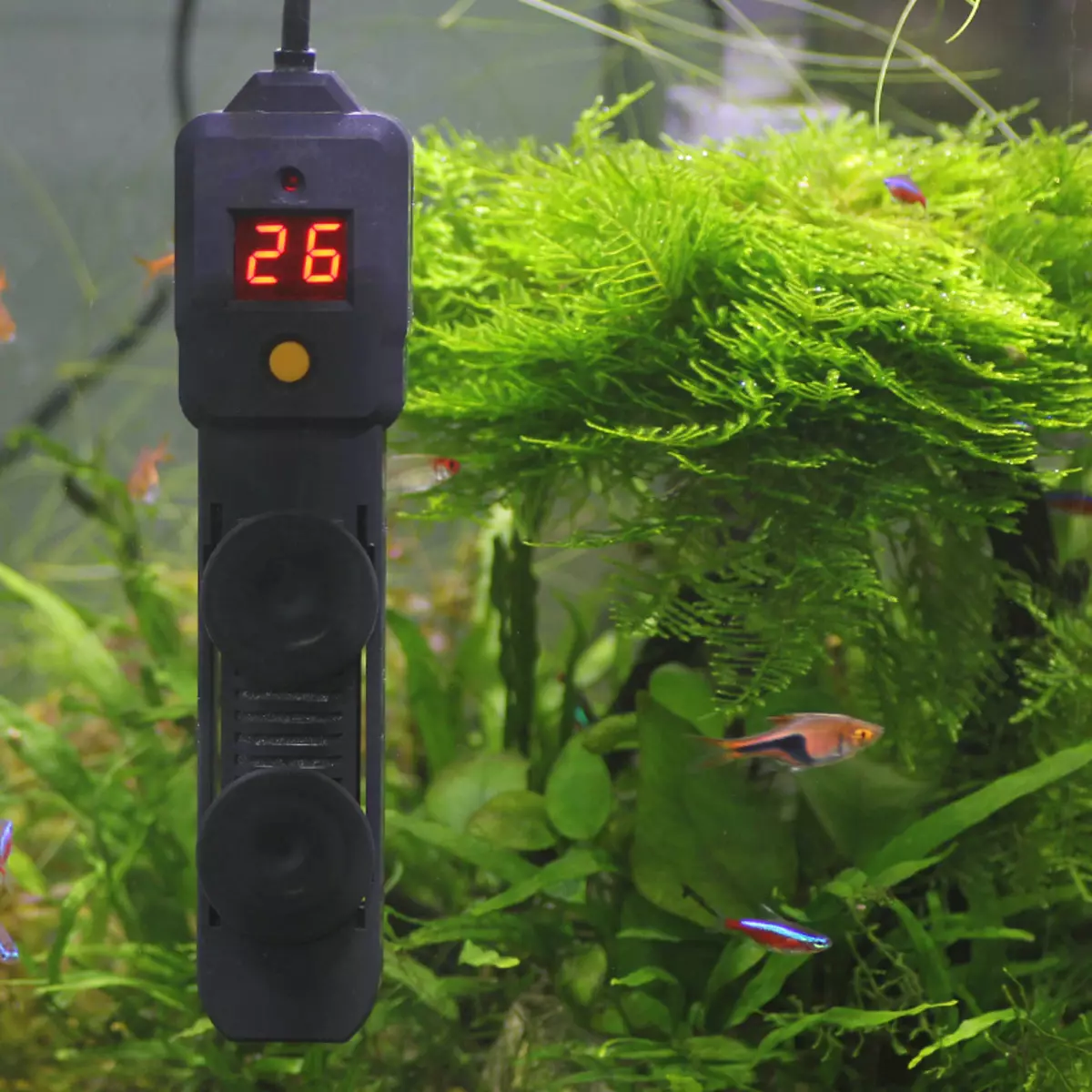 Aquarium加热器（37张）：水族馆热水器概述，带有恒温器和没有。如何被热水器加热？ 11366_7