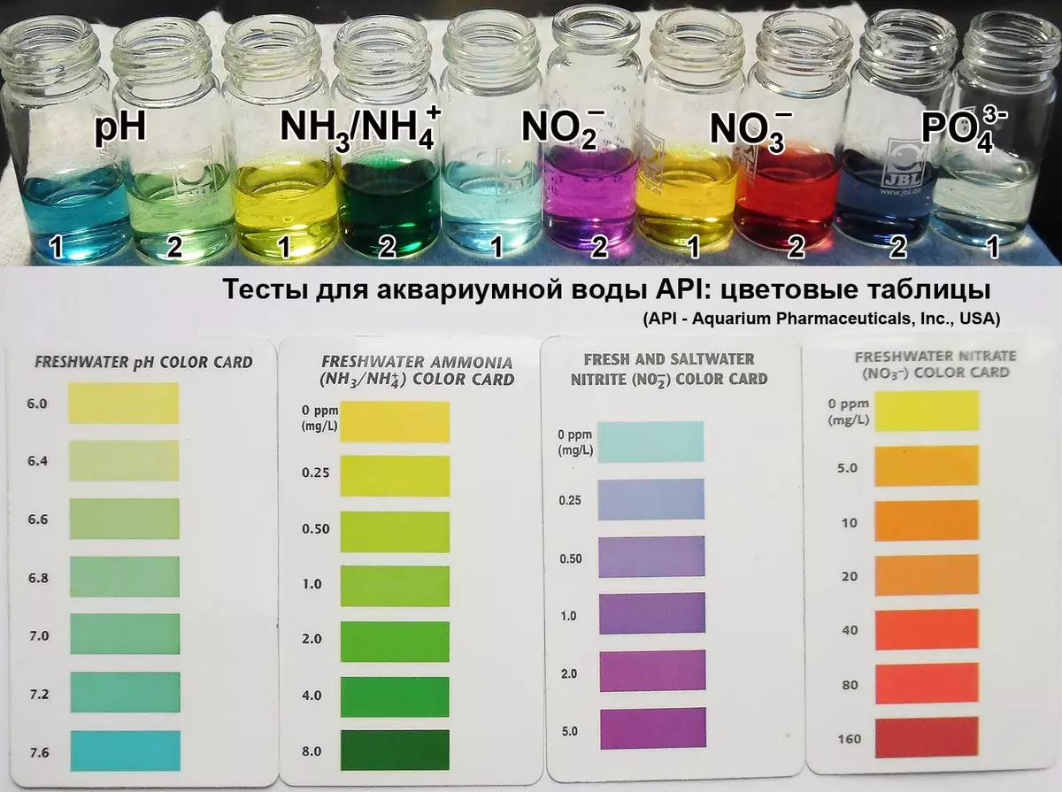 Akvaarion nitraatit (13 kuvaa): NO3-normi ja nitriittiä. Miten vähentää tai lisätä niiden sisältöä? Suhde fosfaattiin 11367_5