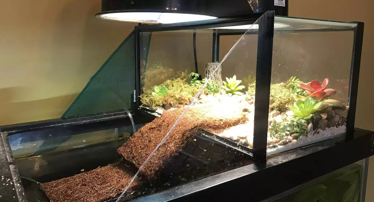 Черепаха температура воды в аквариуме
