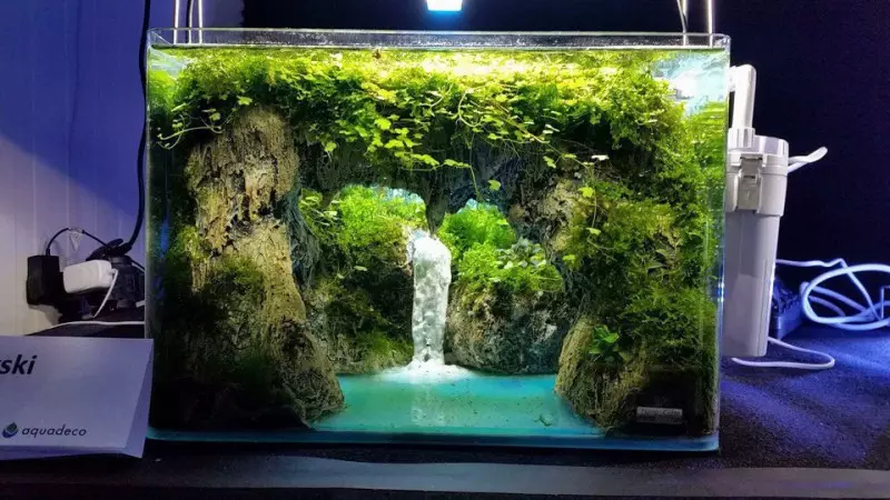 Jiro Aquarium: T5 sy T8 jiro, jiro ambany ambany amin'ny tsiranoka ho an'ny fitomboan'ny fambolena sy ny jiro hafa Aquarium 11373_68