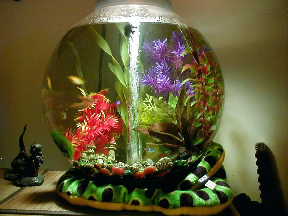 Кружни аквариуми (47 фотографии): Преглед на мали и големи аквариуми со капак и задно осветлување. Каква риба може да се чува? Опции за регистрација 11375_26