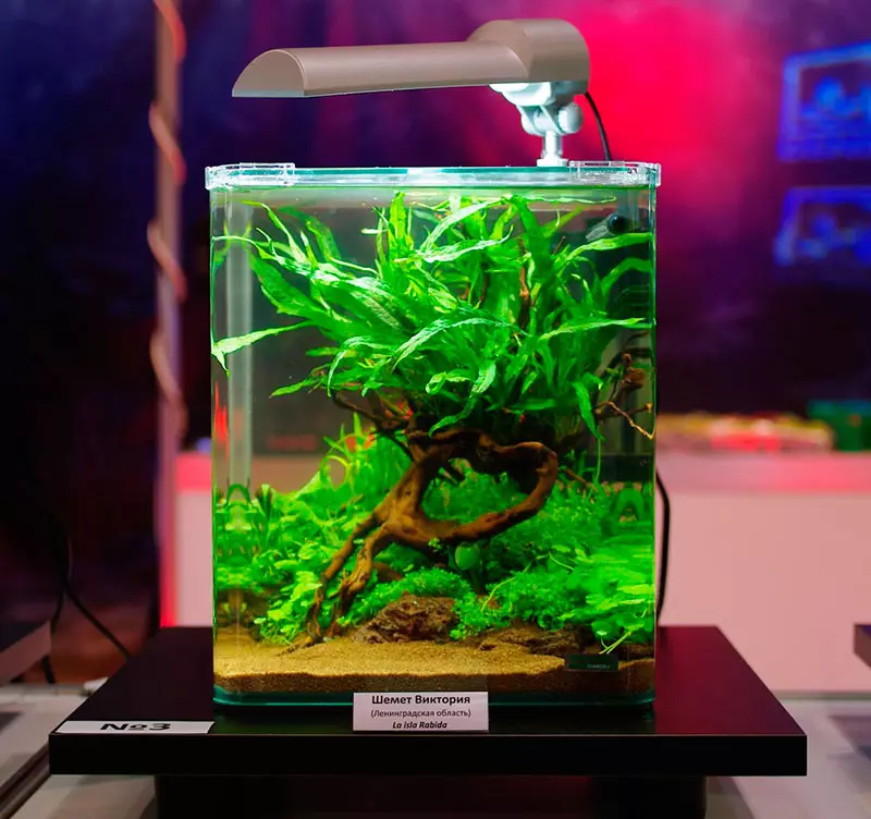 Nanoacarums (38 şəkil): NanoCube rəy və digər modellər, 5-30 litrə qədər dəniz akvariumları üçün lampalar və torpaq seçimi