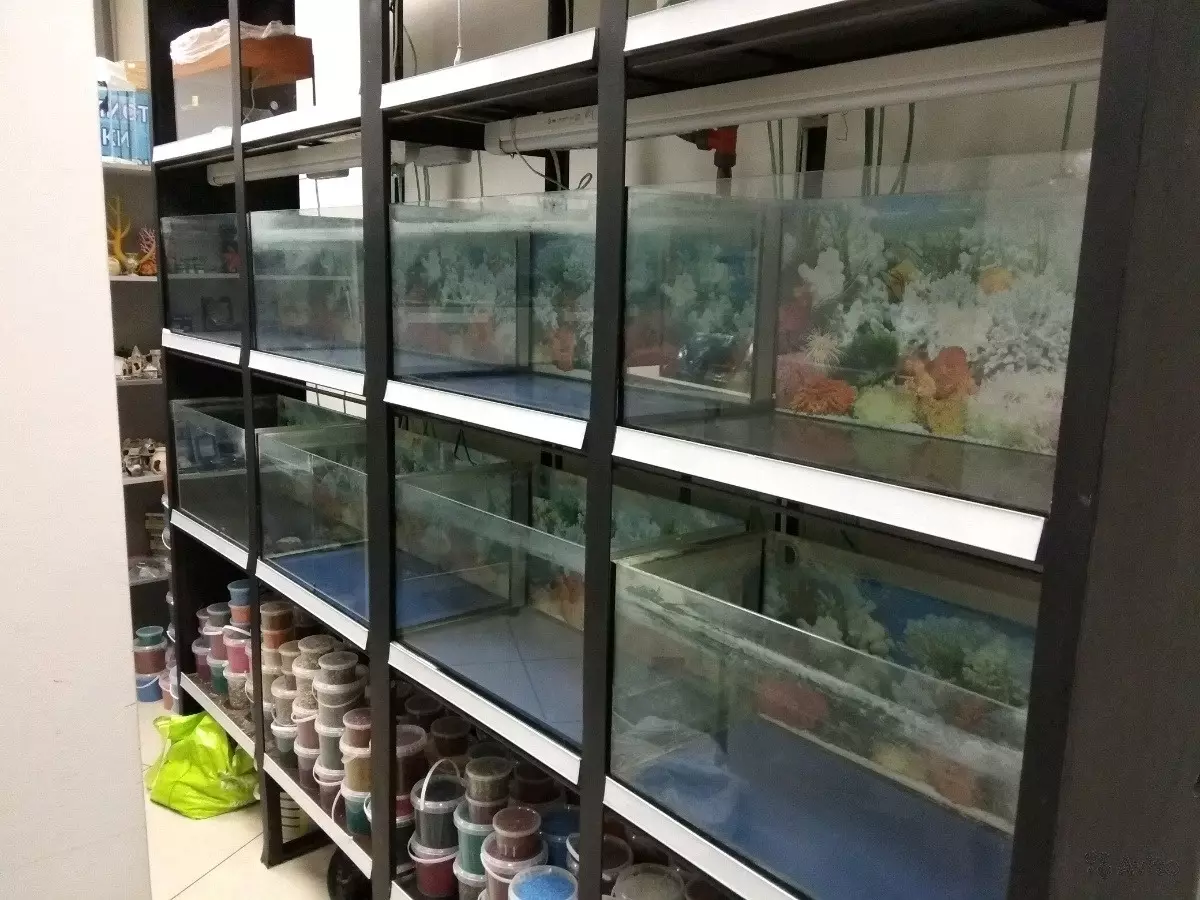 Стеклянный стеллаж для аквариума