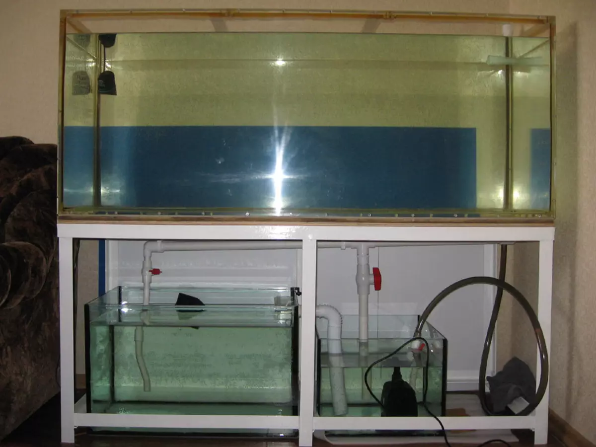 Akvarier 500 liter (15 bilder): deres størrelse og vekt. Hvordan lanserer du Aquarium 500 L? 11391_9