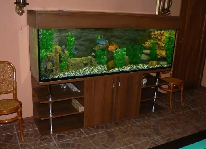 Aquariums por 100 litroj (19 fotoj): pezo kaj grandecoj. Kiom da fiŝoj povas esti konservitaj? Kiuj rasoj taŭgas? Kiel kalkuli la lumon? 11403_3