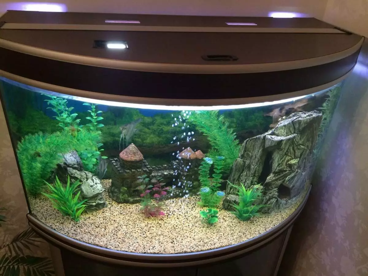 Aquariums isaky ny 100 litatra (19 sary): lanja sy habe. Firy ny trondro azo tazonina? Inona no karazana sakana mety? Ahoana ny fomba hikajiana ny hazavana? 11403_5