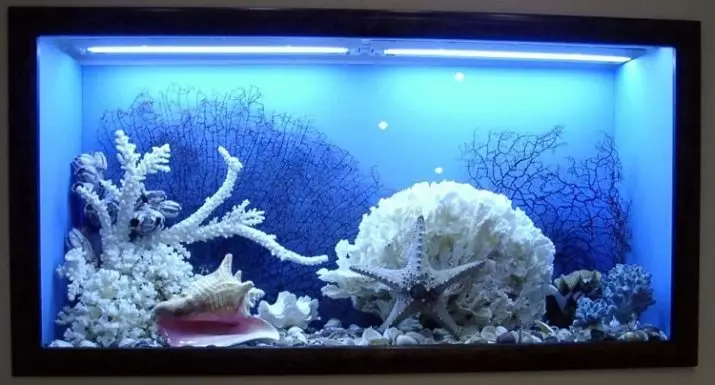 Atsogolere tepi ya aquarium (Zithunzi 19): mawonekedwe a kuyatsa ndi riboni wa LED. Kodi Mungasankhe Bwanji? Momwe mungakhazikitsire chinyezi Chinyontho? 11406_2