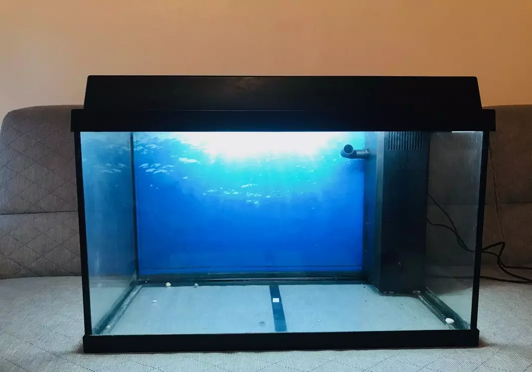 Aquarium 60 litatra (24 sary): ny habeny. Firy ny trondro azo tazonina ao? Mikarakara an'i Oren Samsonal Aquarium 60 L 11407_13