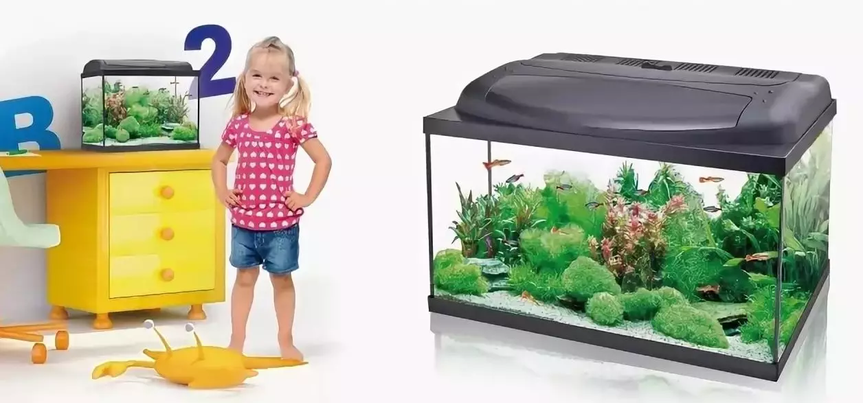 Aquarium 60 litatra (24 sary): ny habeny. Firy ny trondro azo tazonina ao? Mikarakara an'i Oren Samsonal Aquarium 60 L 11407_16