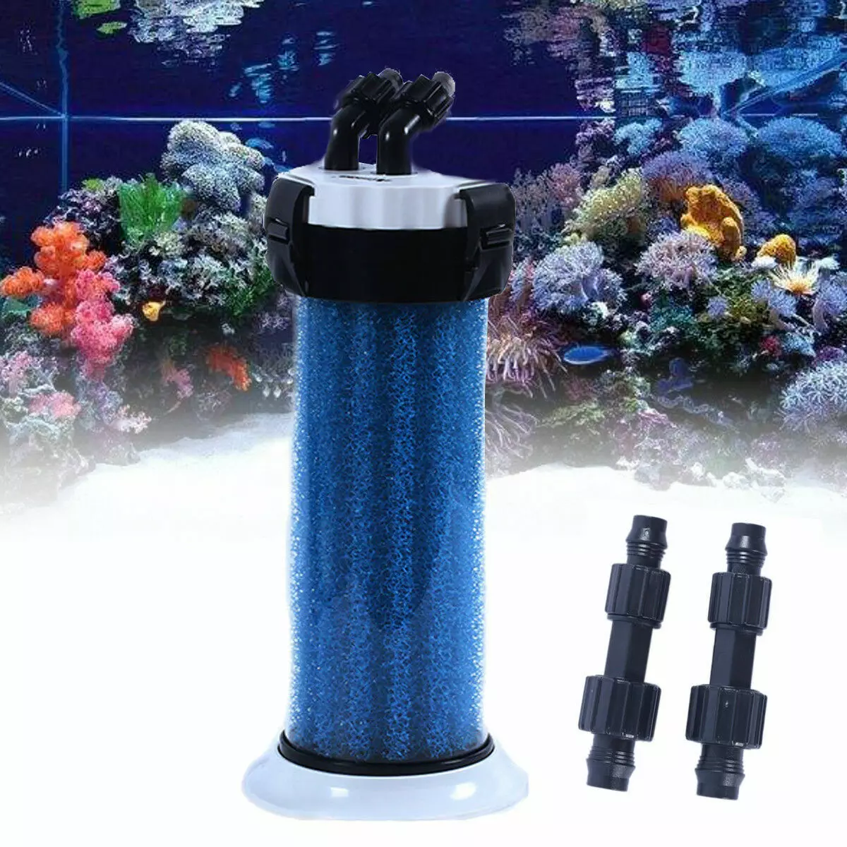 Aquarium 60 litatra (24 sary): ny habeny. Firy ny trondro azo tazonina ao? Mikarakara an'i Oren Samsonal Aquarium 60 L 11407_23