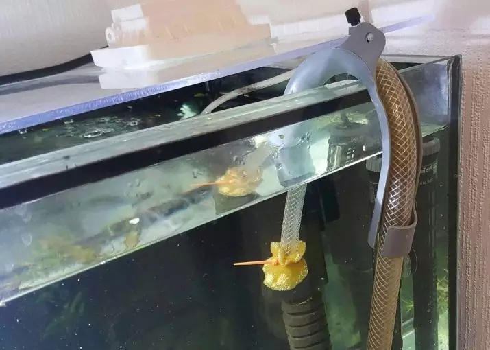 Pena v akvariju (13 fotografij): vzroki za peno na površini vode. Kaj če pene? 11410_10
