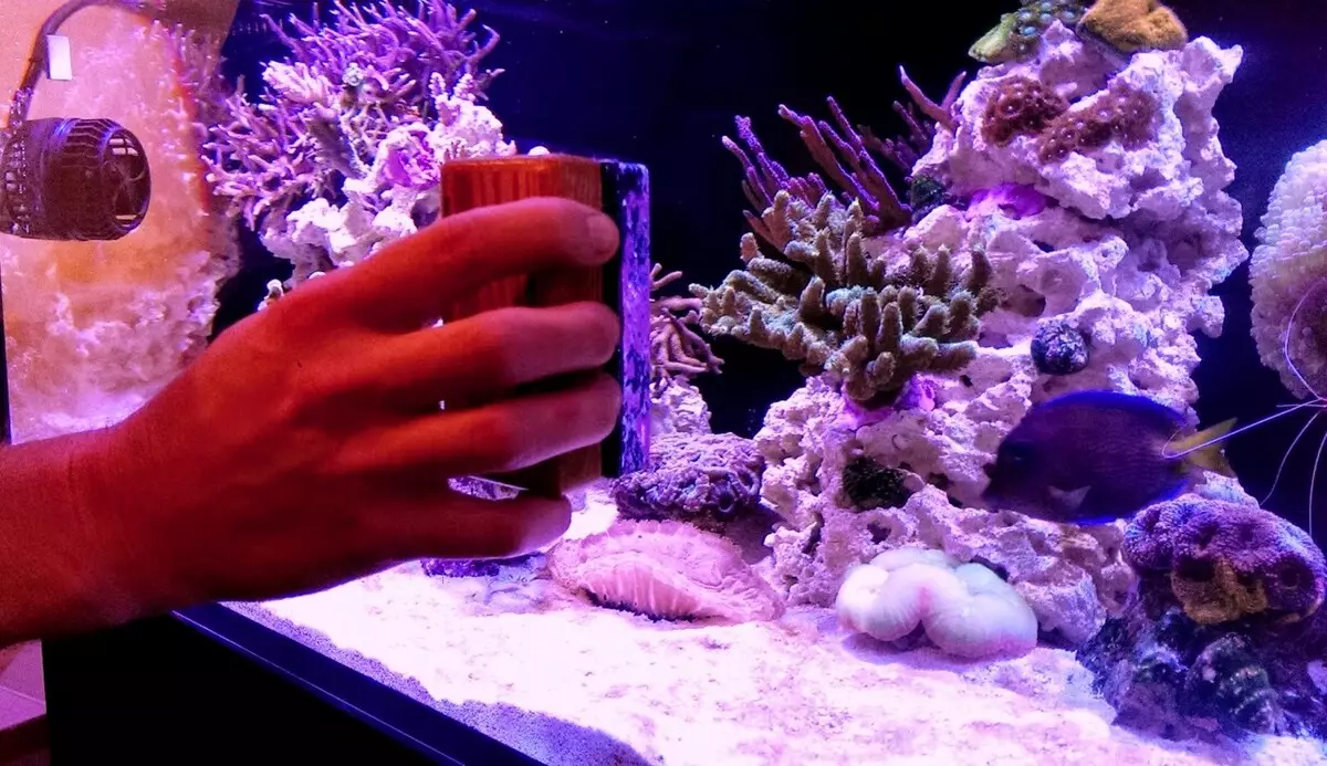 运行水族馆（42张照片）：每100和200升的划胃水族馆发射的逐步指示？如何为第一次运行30和20升的水族馆？ 11412_5