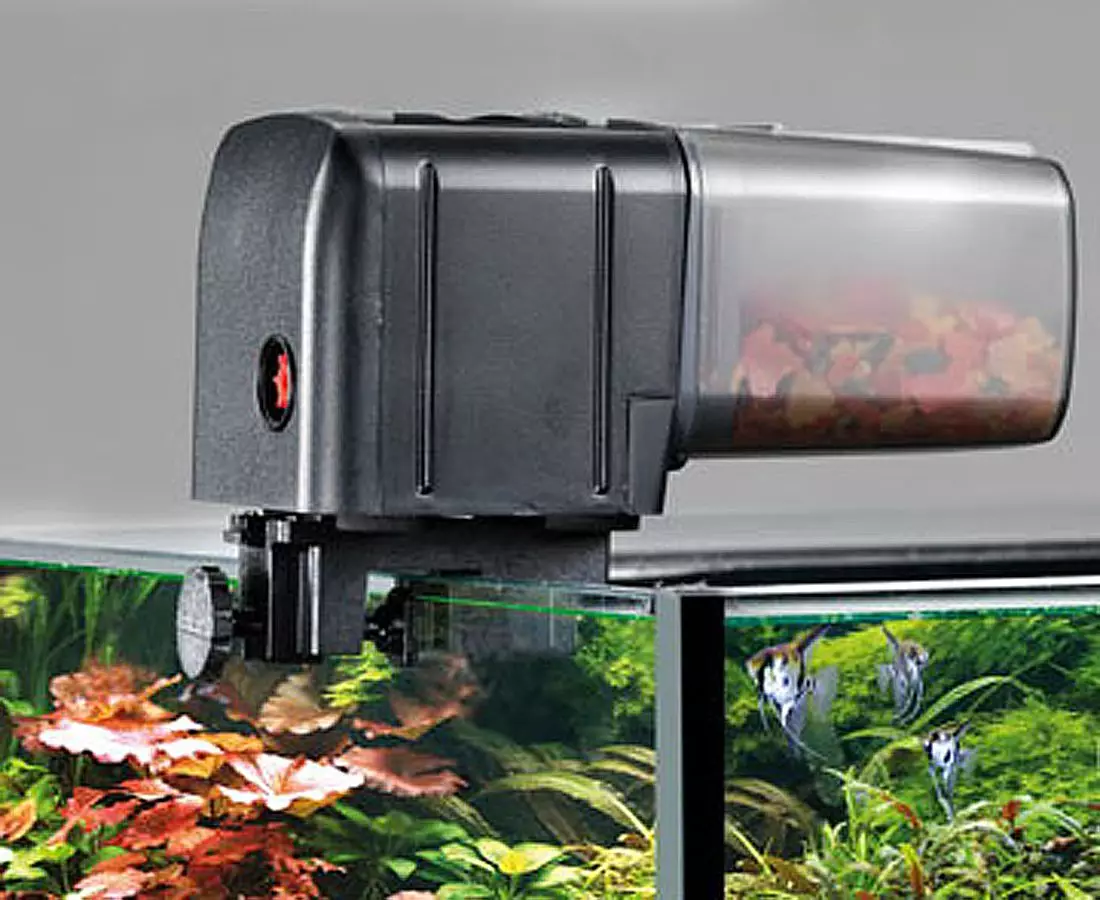 Aliments pour Aquarium (16 photos): Pourquoi avez-vous besoin d'un mangeoire automatique pour le poisson d'aquarium? Modèles électroniques et autres pour poissons 11421_8